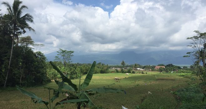 980x520-IndonesiaCountryside